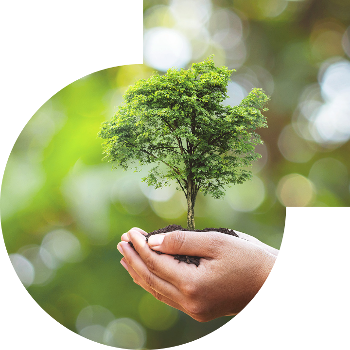 关怀人类、文化、环境与社会